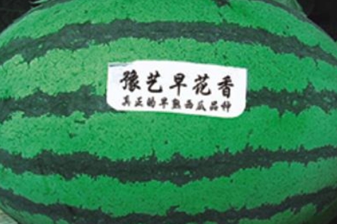 k1绨