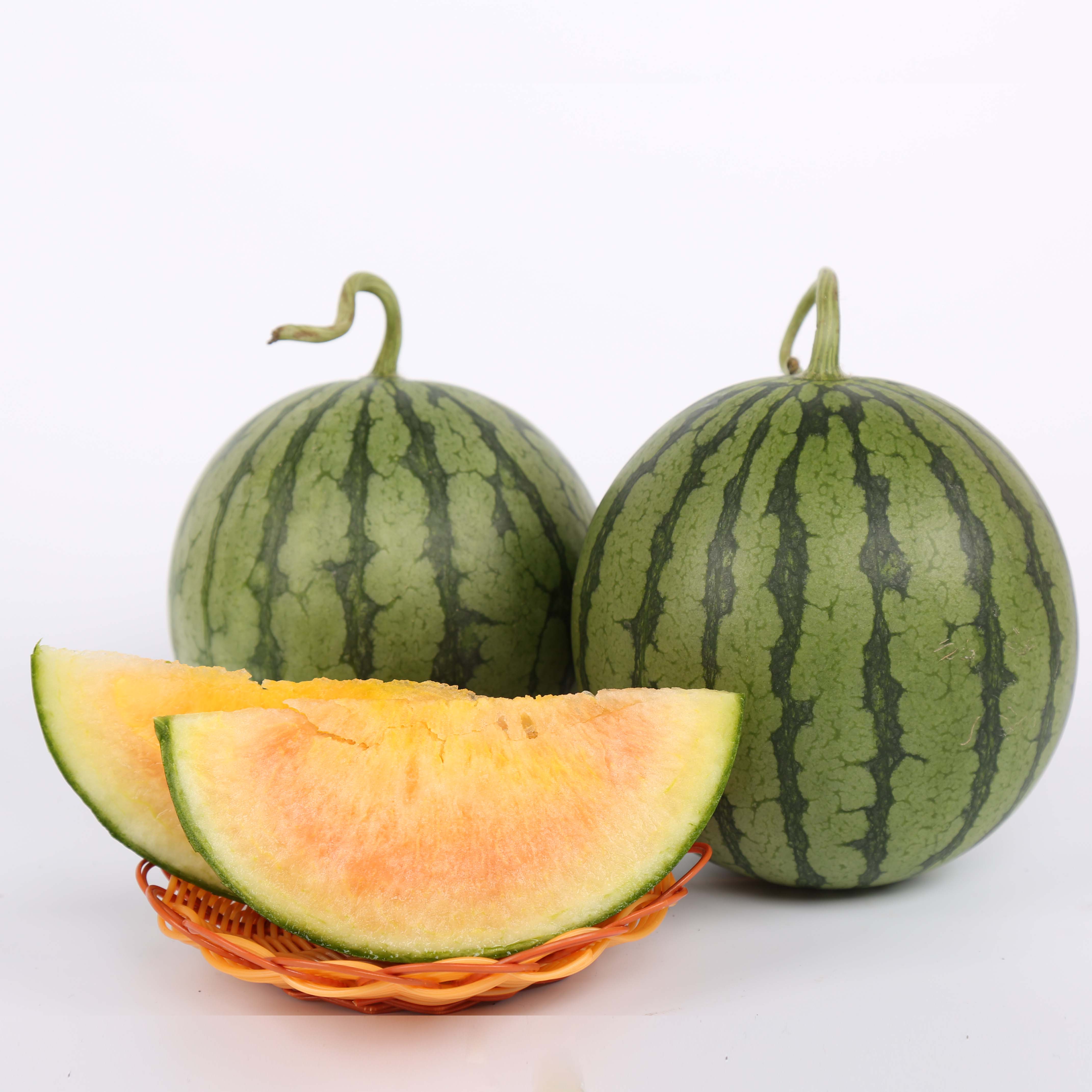 ʺ֮
