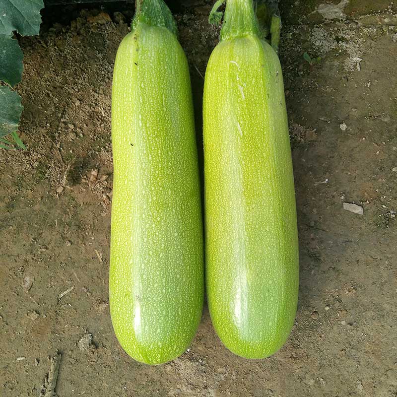 168