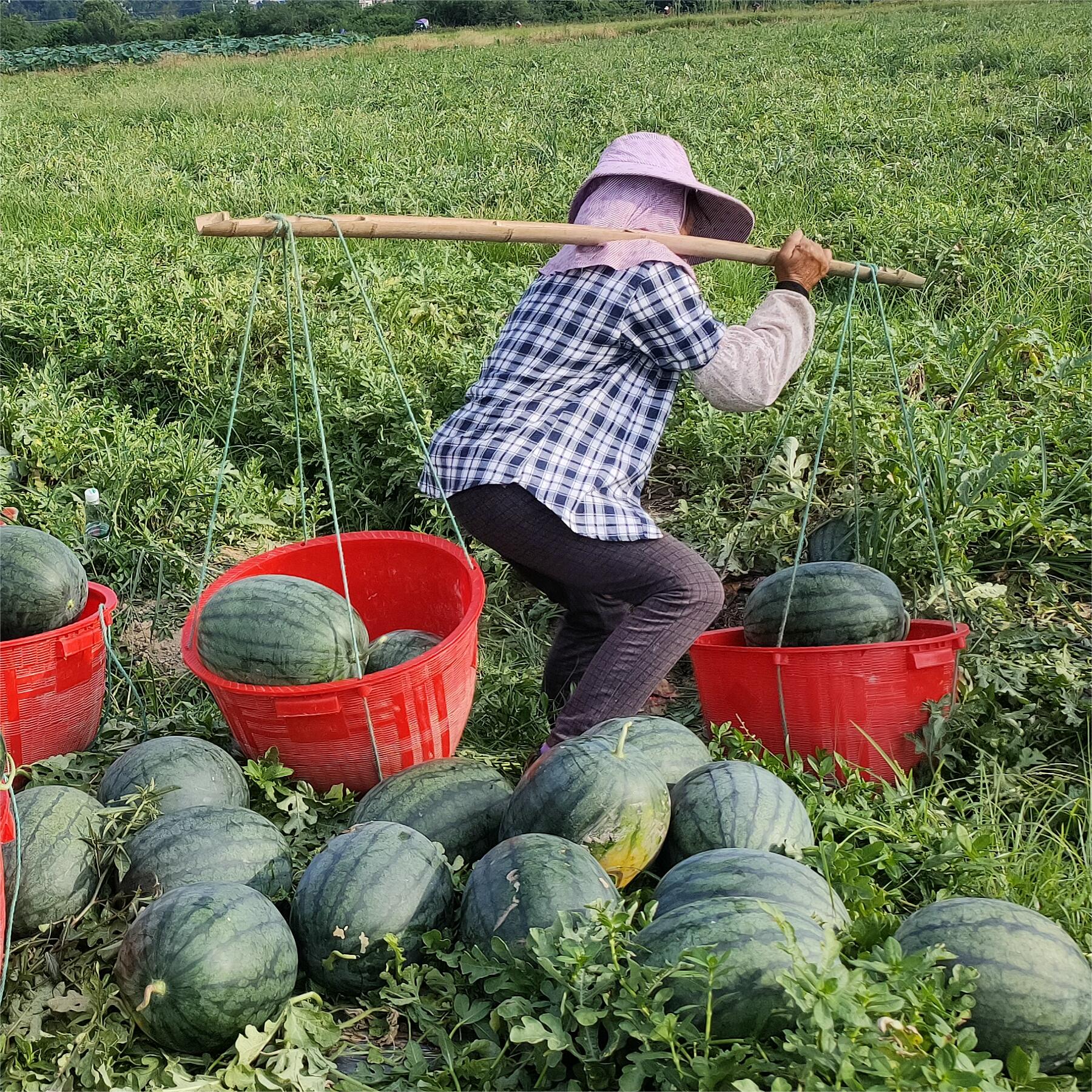 k1޶