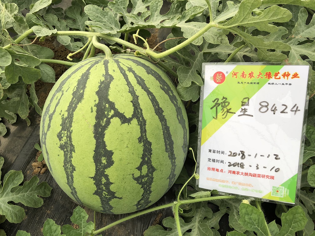 ΢ͼƬ_20180812214508.jpg